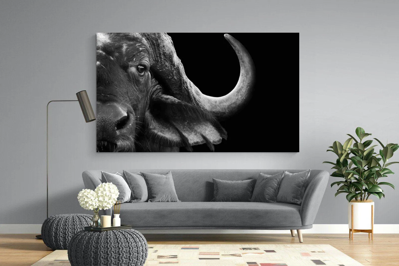 Water Buffalo