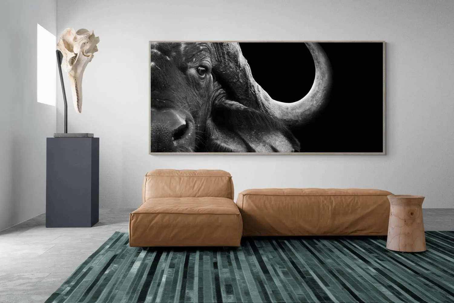 Water Buffalo