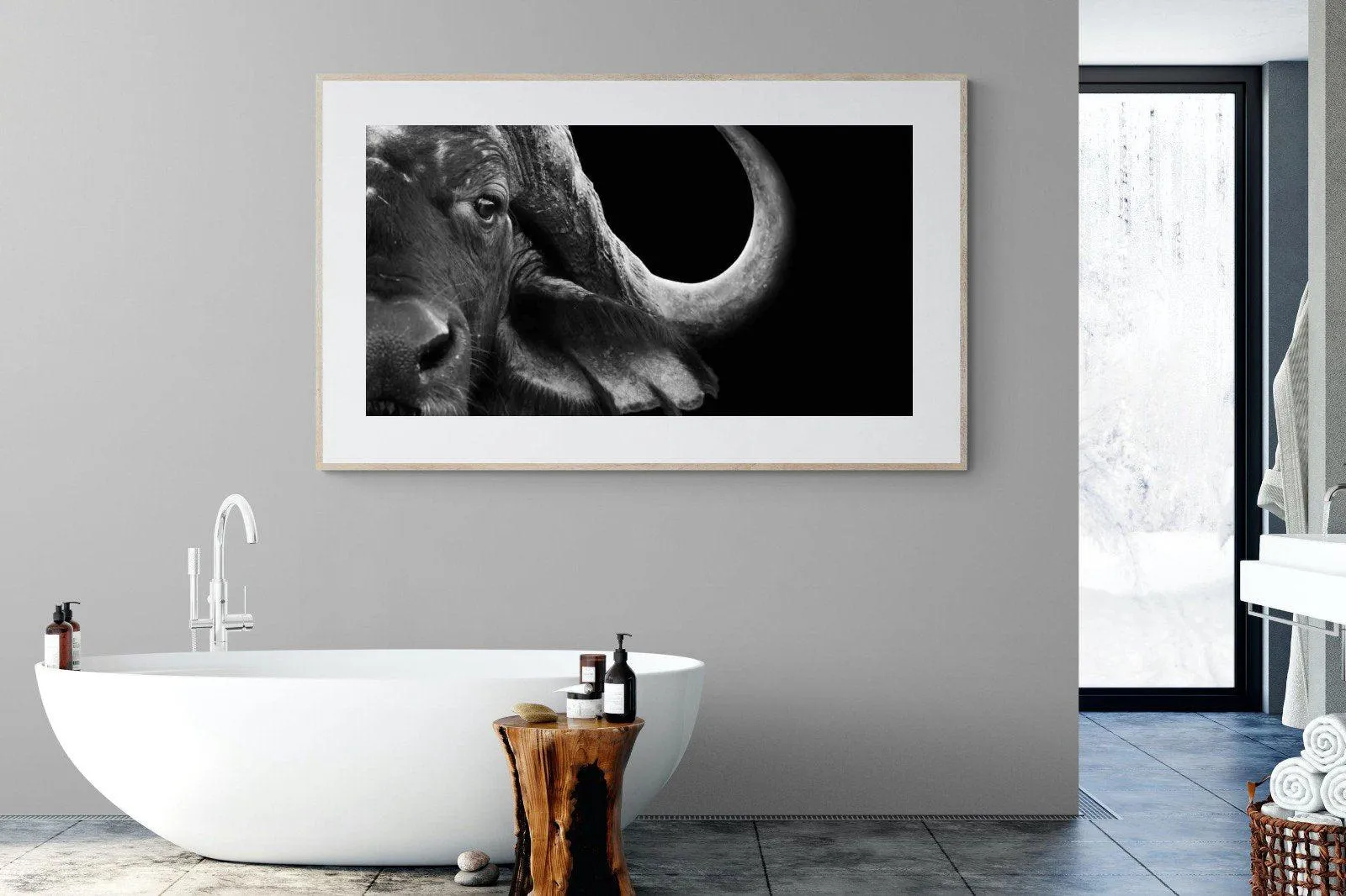 Water Buffalo
